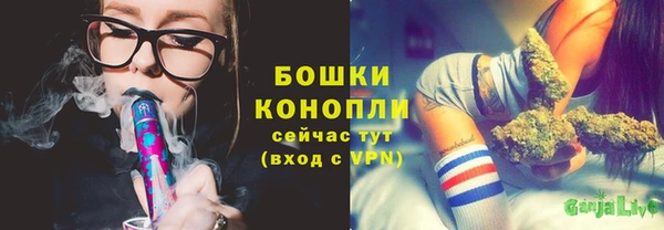 амф Аркадак