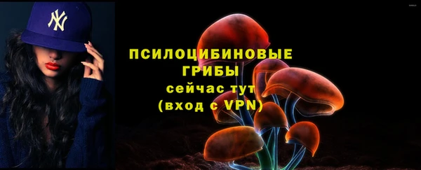 амф Аркадак