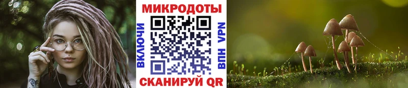Псилоцибиновые грибы GOLDEN TEACHER  сколько стоит  Боготол 